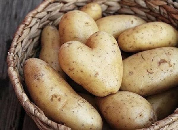 تصویر 5 از راهنمای خرید سیب زمینی جلی + قیمت عالی